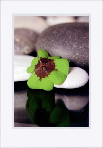 Fotokarte Blanco mit mit Steinen und Kleeblatt