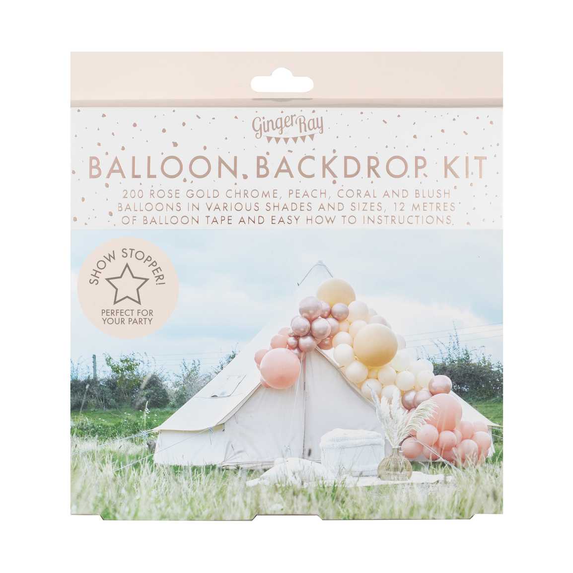 Ballonbogen-Set in Pfirsich, Nude und Roségold Luxuriöses