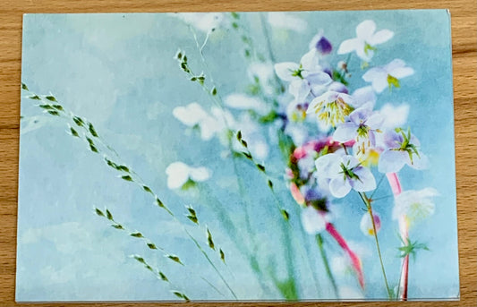 Postkarte Mit Blüten