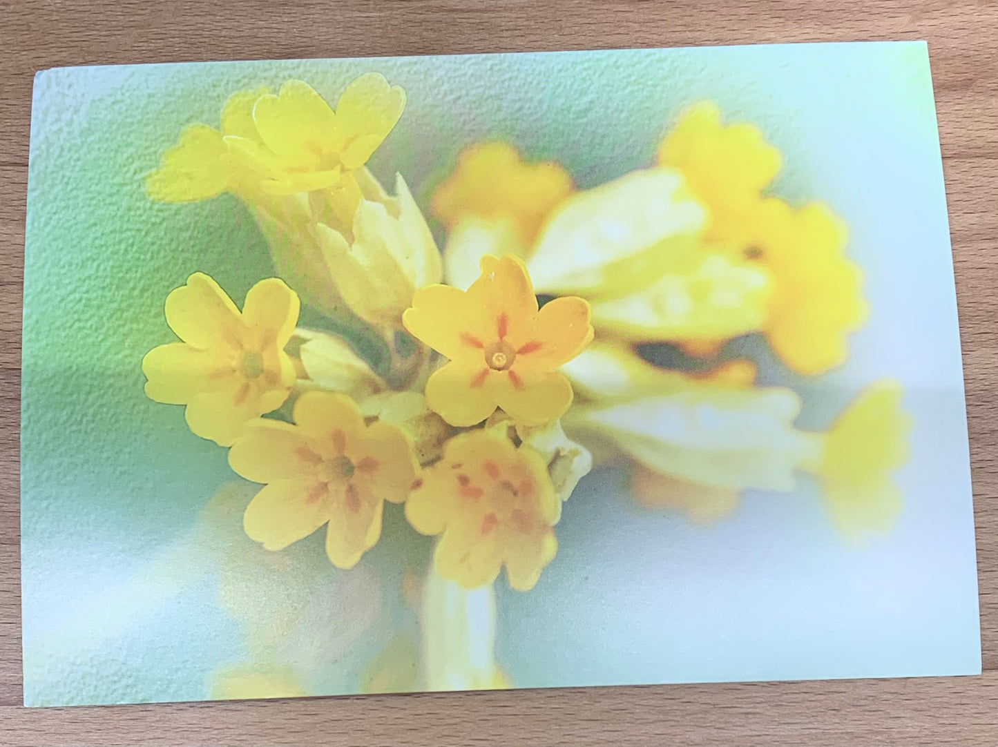 Postkarte Blume Gelb