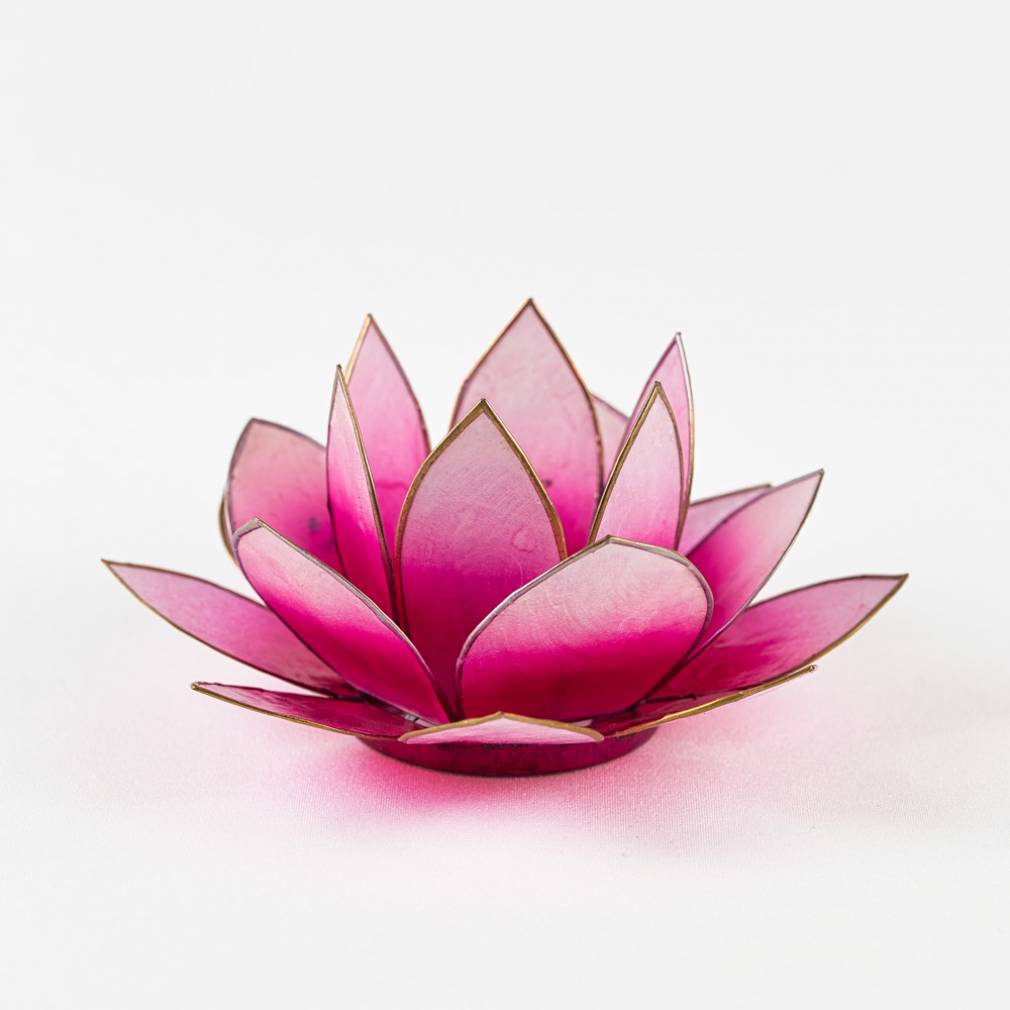 Lotus Lichter