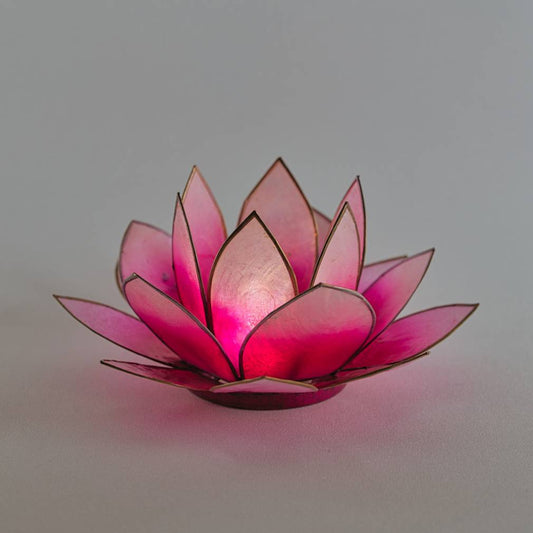 Lotus Lichter