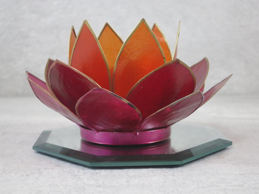 Lotus Lichter