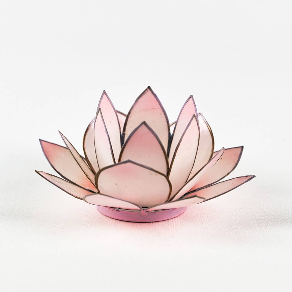 Lotus Lichter