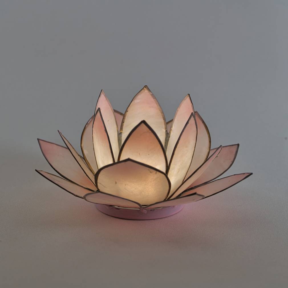 Lotus Lichter