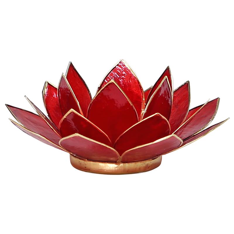 Lotus Lichter