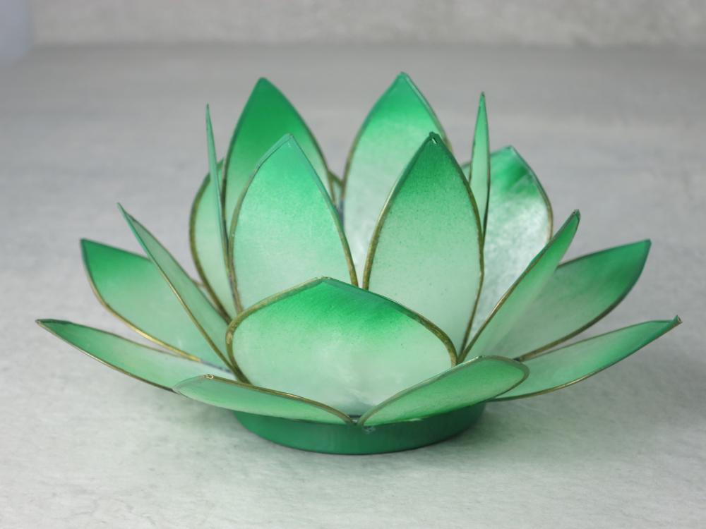 Lotus Lichter