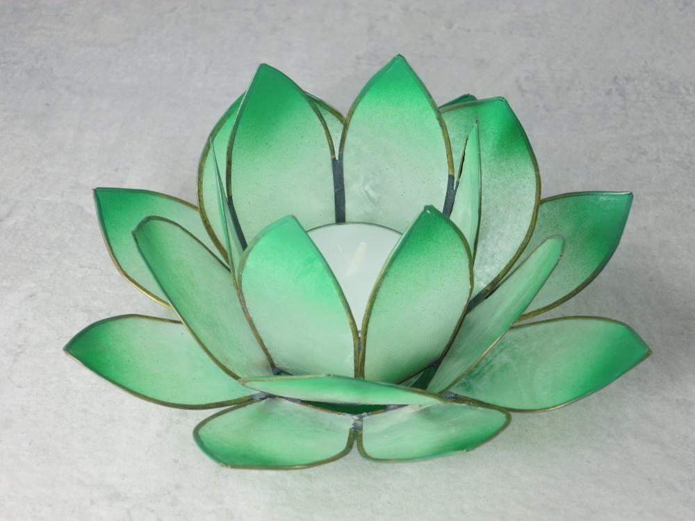 Lotus Lichter