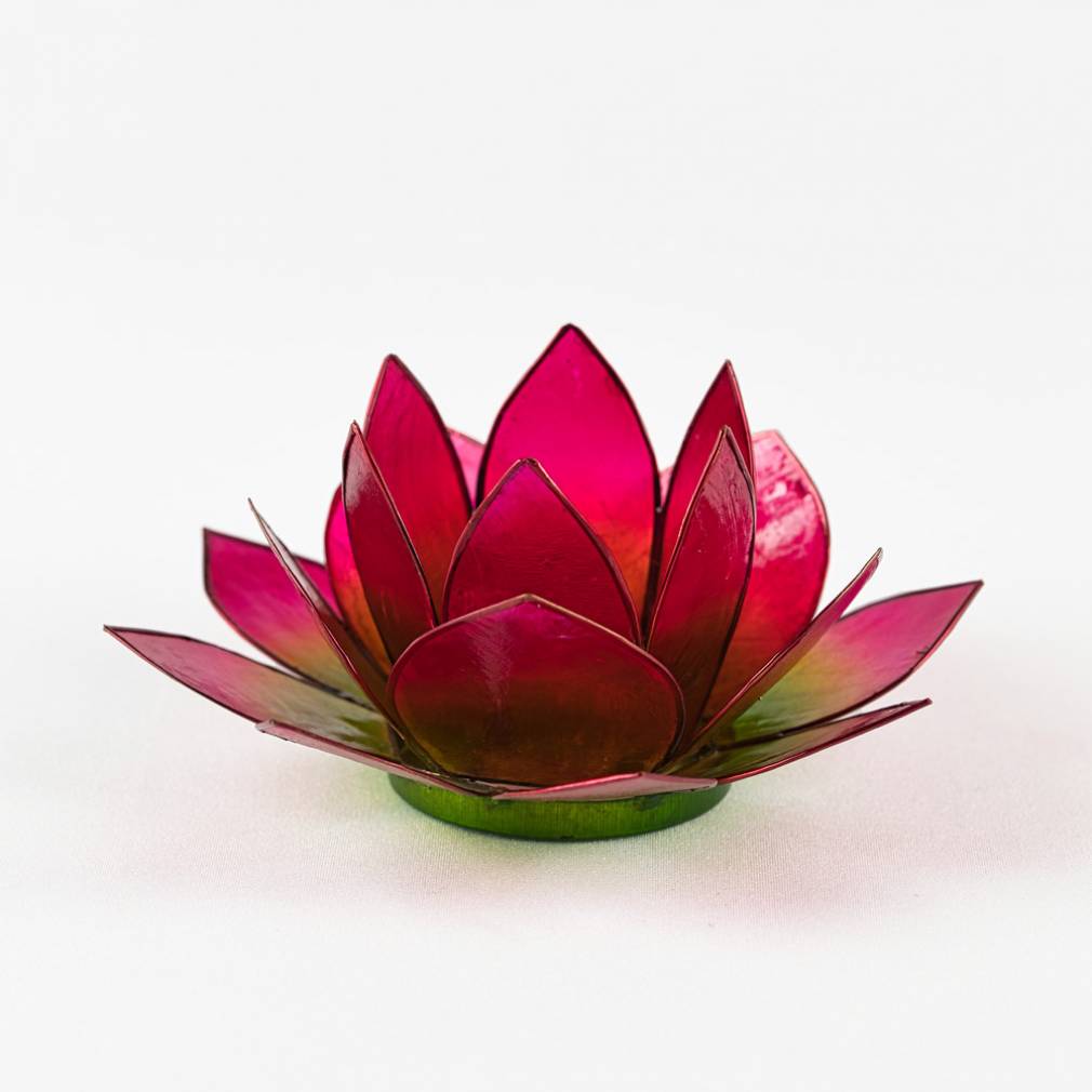 Lotus Lichter