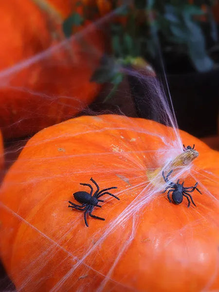 Plastikspinnen, schwarz