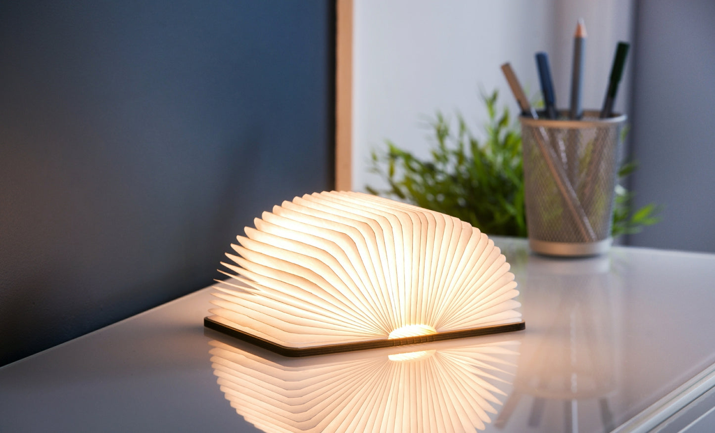 Smart Book Light (Naturholz)