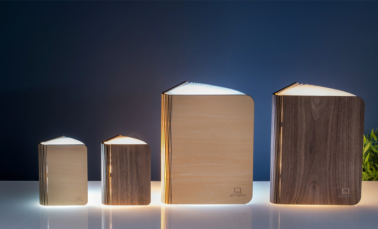 Smart Book Light (Naturholz)