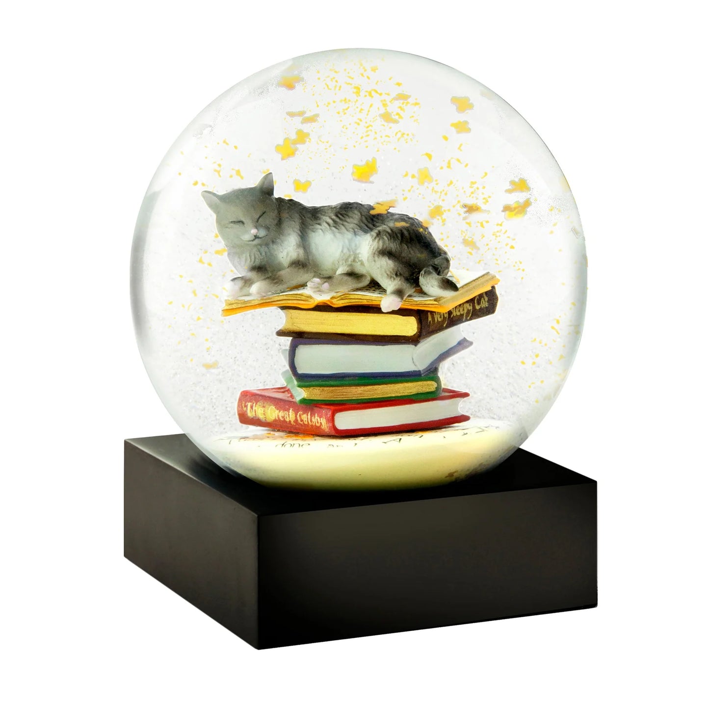 Snow globe Cat on books